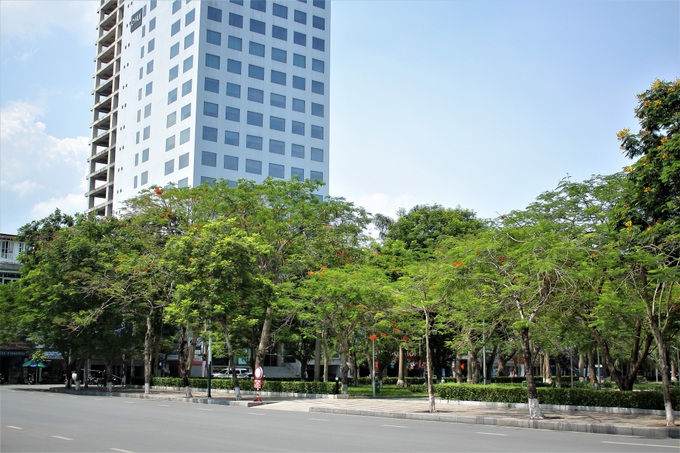 Ngôi trường xanh mướt như 1 khu sinh thái thu nhỏ giữa “thành phố cảng”, nơi thầy trò giữ gìn từng gốc cây, từng tán lá trong sân trường - Ảnh 1. Ngôi trường xanh mướt như 1 khu sinh thái thu nhỏ giữa “thành phố cảng”, nơi thầy trò giữ gìn từng gốc cây, từng tán lá trong sân trường - Ảnh 1.
