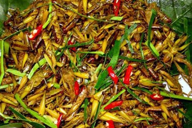 Lạ miệng món ăn từ côn trùng đậm chất đồng quê