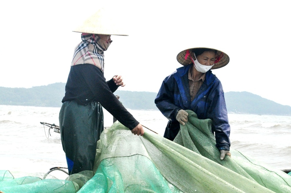 Thanh Hóa: Hơn 250.000 lao động có việc làm thường xuyên - 1 Thanh Hóa: Hơn 250.000 lao động có việc làm thường xuyên - 1