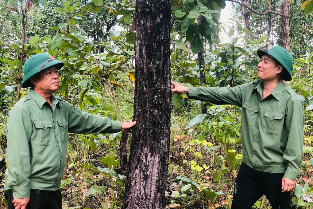 Những người trèo đèo, lội suối, ăn cơm nắm muối vừng giữa rừng ngày Tết - 5 Những người trèo đèo, lội suối, ăn cơm nắm muối vừng giữa rừng ngày Tết - 5
