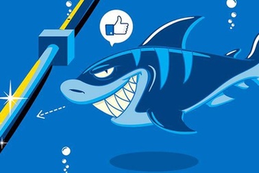 Mẹo vào Internet khi cáp quang biển gặp sự cố