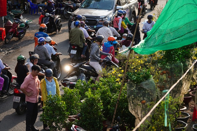 Một lần đi chợ hoa trên bến dưới thuyền độc, lạ nhất Sài Gòn - 34 Một lần đi chợ hoa trên bến dưới thuyền độc, lạ nhất Sài Gòn - 34