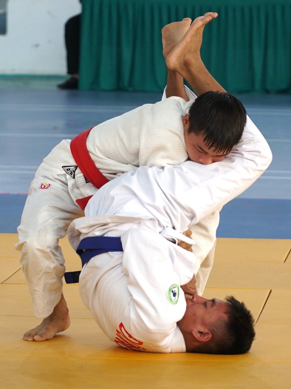 240 VĐV Jujitsu tranh tài, chọn bổ sung đội tuyển quốc gia dự SEA Games - 1 240 VĐV Jujitsu tranh tài, chọn bổ sung đội tuyển quốc gia dự SEA Games - 1