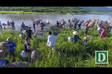 Clip lễ hội đánh cá Đồng Hoa.