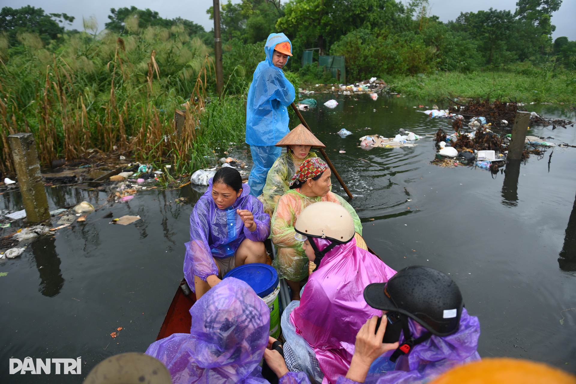 Nước sông Hồng lên cao, cô lập bãi giữa, ngập trắng hoa màu - 11