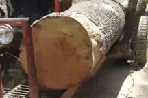 Hàng chục đối tượng hung hãn dùng hung khí bao vây cướp gỗ tang vật