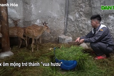 9x bỏ phố về quê ôm mông trở thành "vua hươu"