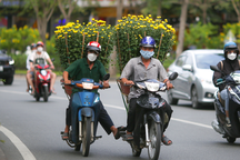 Sắc xuân ngập tràn đường phố TPHCM những ngày giáp Tết