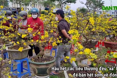 Chợ hoa 29 Tết đông nghịt người, người bán đồng loạt "xả" hàng