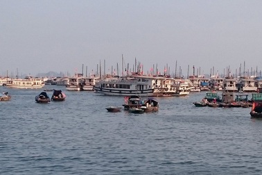 Liên tiếp bắt giữ tàu “nhiều không” chở khách tham quan trái phép trên vịnh Hạ Long