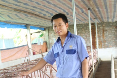 Tốt nghiệp đại học về nuôi lợn